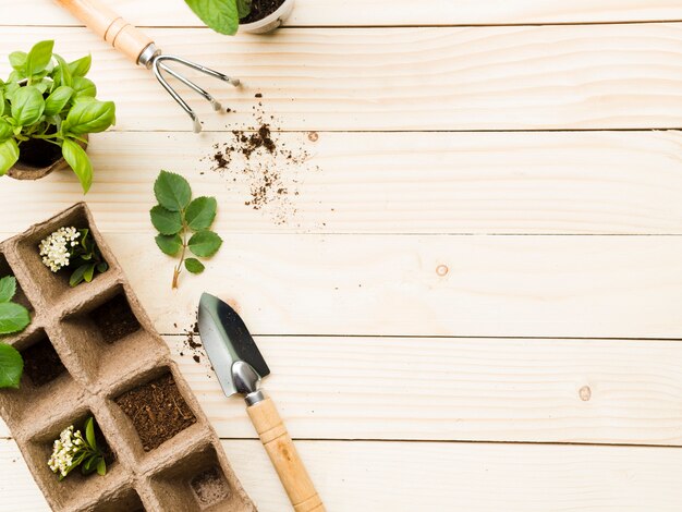 Bovenaanzicht tuingereedschap en planten