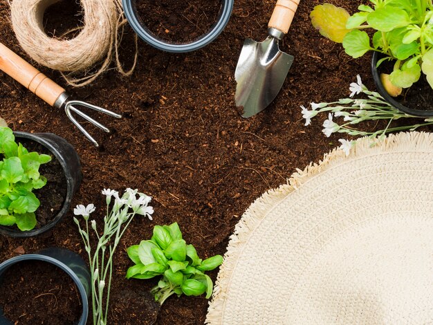 Bovenaanzicht tuingereedschap en planten