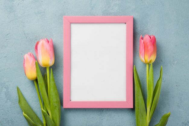 Bovenaanzicht tulpen met frame op tafel