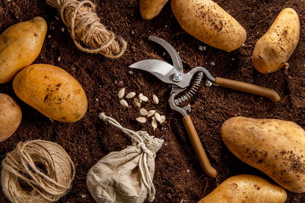 Bovenaanzicht van aardappelen met een schaar en string