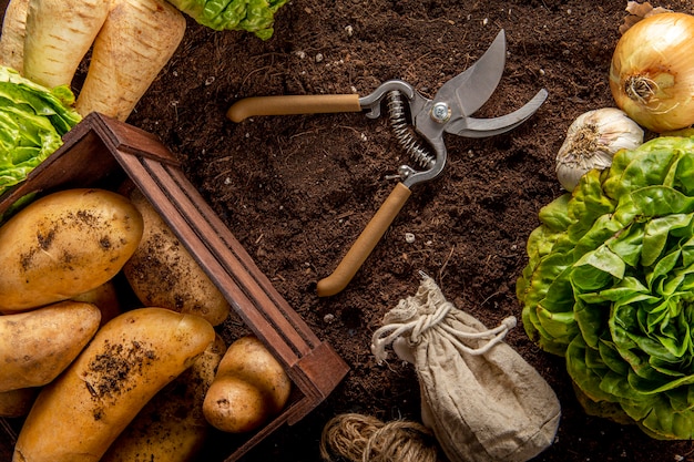 Bovenaanzicht van aardappelen met salade en schaar