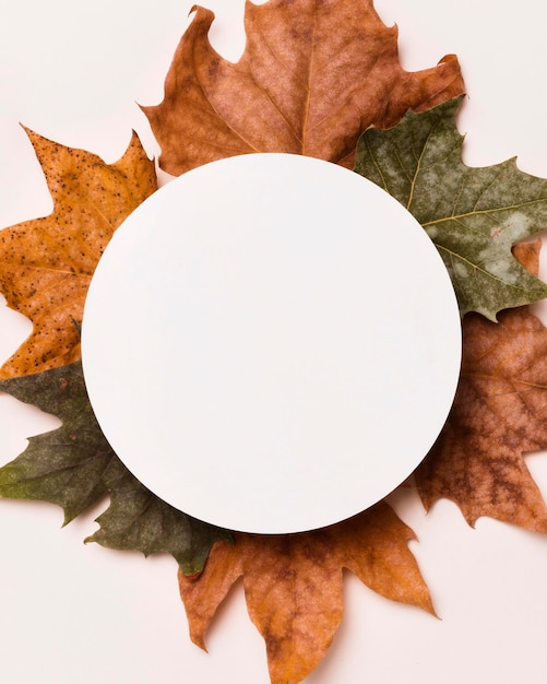 Gratis foto bovenaanzicht van assortiment van herfstbladeren met papier cirkel