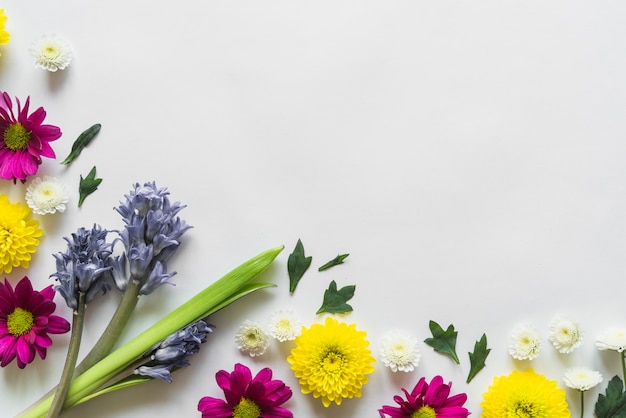 Bovenaanzicht van bloemen en bladeren