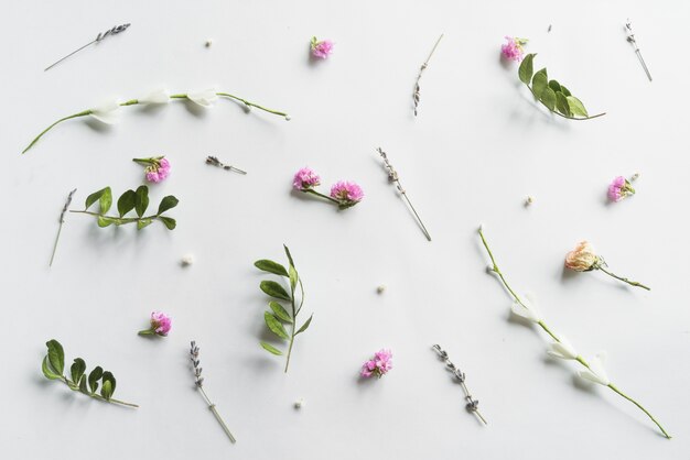 Bovenaanzicht van bloemen en bladeren