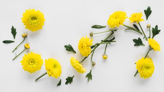 Bovenaanzicht van bloemen en bladeren