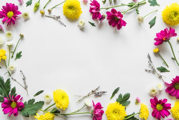 Bovenaanzicht van bloemen en bladeren