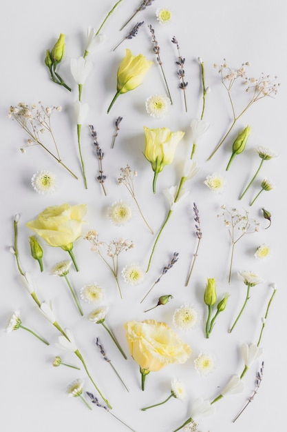 Gratis foto bovenaanzicht van bloemen en bladeren