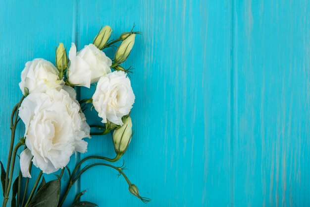 Bovenaanzicht van bloemen op blauwe achtergrond met kopie ruimte