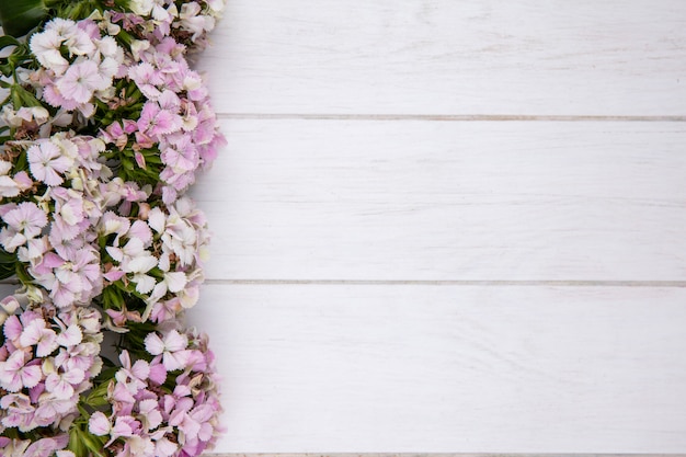 Bovenaanzicht van bloemen op een wit oppervlak