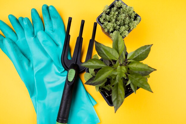 Bovenaanzicht van bloempotten en tuinieren vork