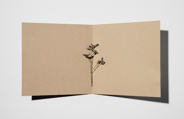 Bovenaanzicht van briefpapier met plant