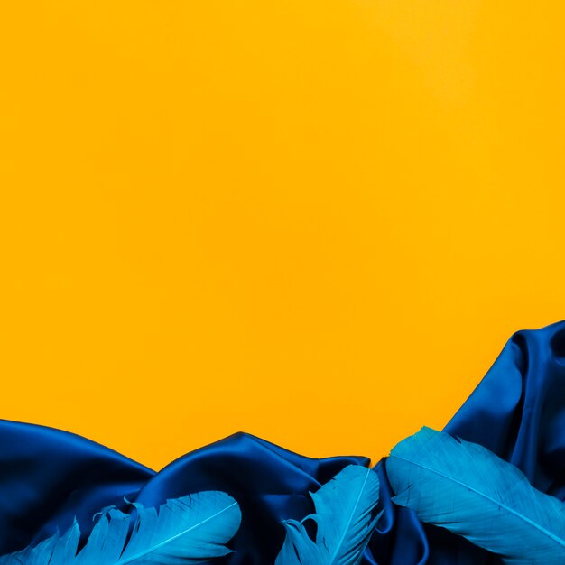 Bovenaanzicht van carnaval veren en textiel