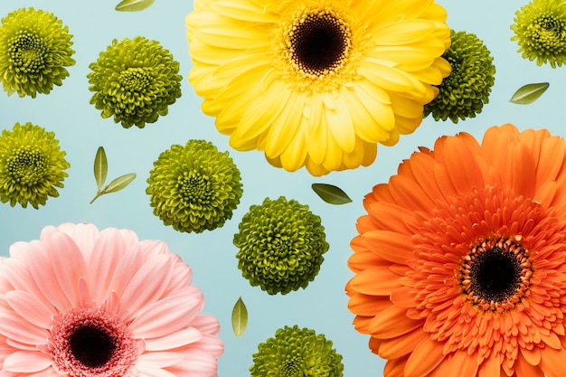 Bovenaanzicht van de lentemadeliefjes en gerbera's