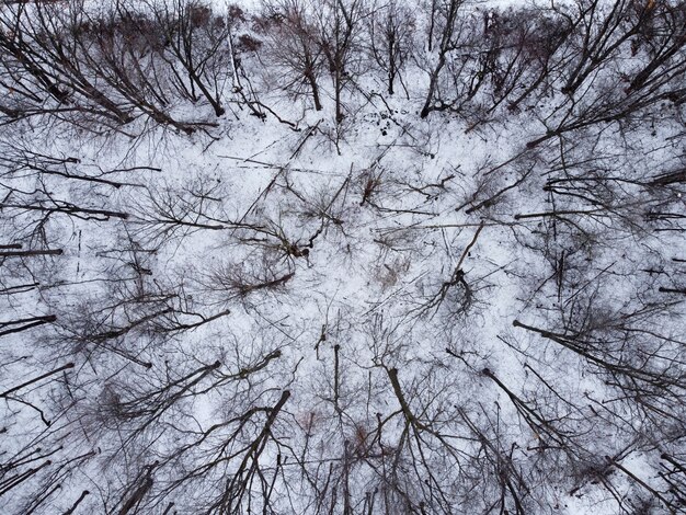 bovenaanzicht van een bos met bomen bedekt met sneeuw