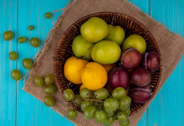 Bovenaanzicht van fruit als druivenplukken nectacots in mand en druivenbessen op geruite doek en op blauwe achtergrond