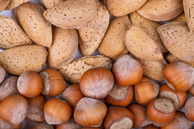 Bovenaanzicht van gemengde noten in shell hazelnoten en amandel op witte achtergrond