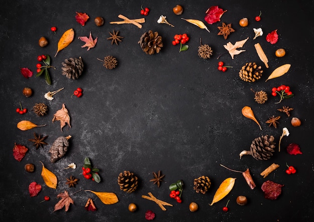 Gratis foto bovenaanzicht van herfst elementen met kopie ruimte