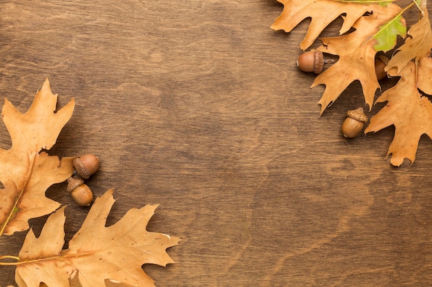 Bovenaanzicht van herfstbladeren met kopie ruimte en eikels