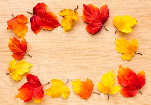 Bovenaanzicht van herfstbladeren voor terug naar schoolseizoen
