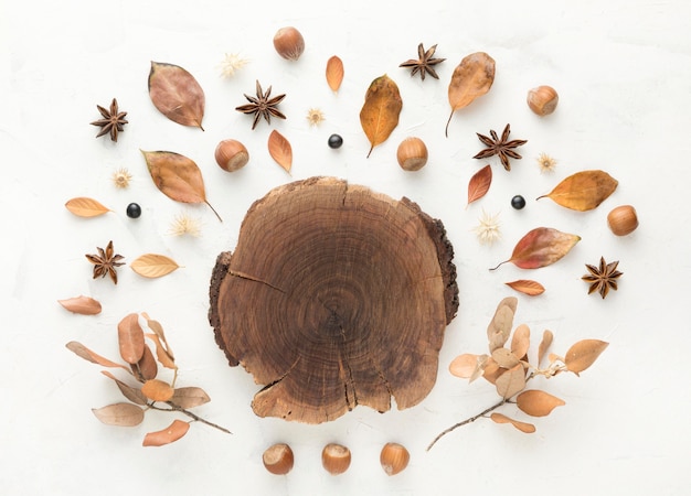 Bovenaanzicht van hout met herfstbladeren