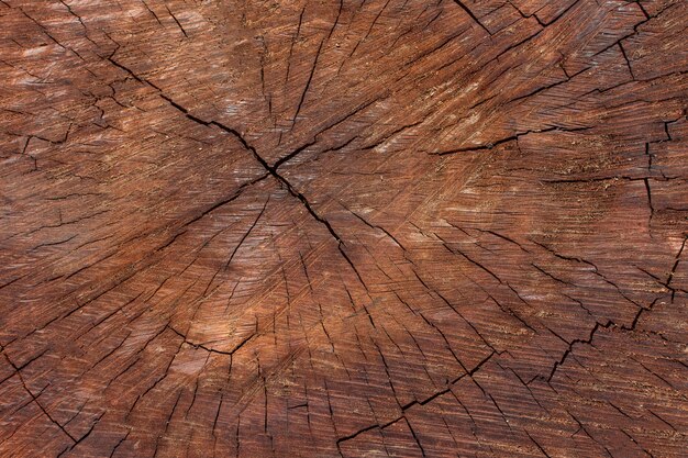 Bovenaanzicht van houten structuur