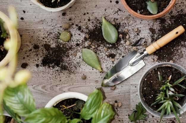 Bovenaanzicht van indoor plantenpotten met troffel