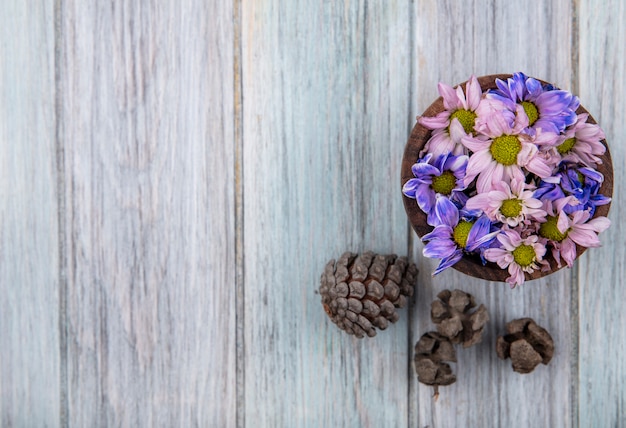 Bovenaanzicht van kleurrijke mooie madeliefjebloemen op een houten kom met dennenappels op een grijze houten achtergrond met kopie ruimte