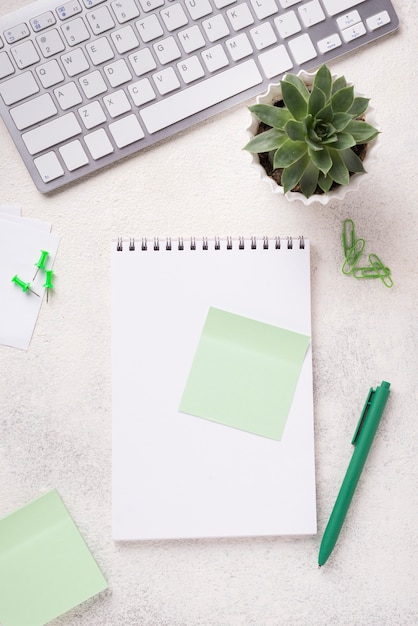 Bovenaanzicht van laptop op Bureau met vetplant en toetsenbord