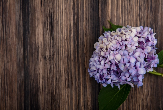 Bovenaanzicht van mooie lila bloem met bladeren op een houten achtergrond met kopie ruimte