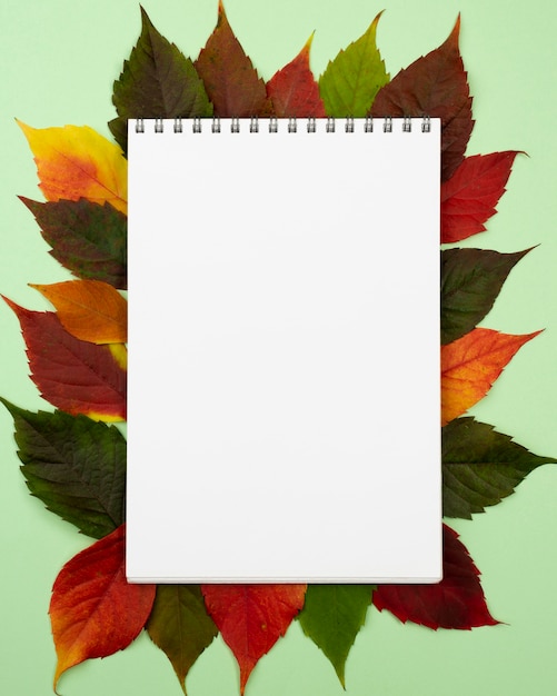 Bovenaanzicht van notebook met herfstbladeren