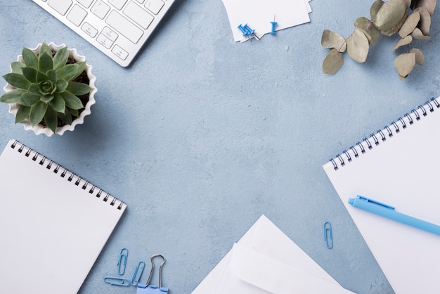 Bovenaanzicht van notebooks op bureau met vetplant en paperclips