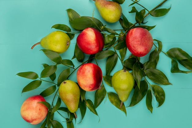 Gratis foto bovenaanzicht van patroon van fruit als peer en perzik met bladeren op blauwe achtergrond