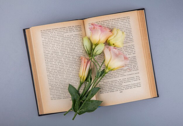 Bovenaanzicht van prachtige verse bloemen over een boek op een grijze achtergrond