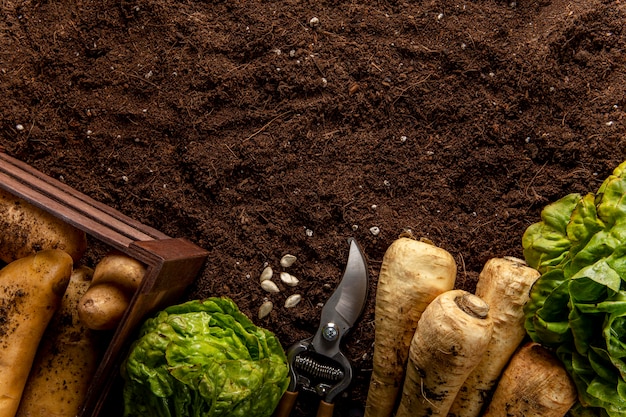 Bovenaanzicht van salade met groenten en kopie ruimte