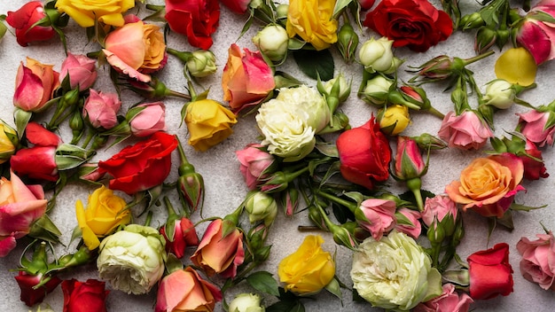 Gratis foto bovenaanzicht van veelkleurige bloemen