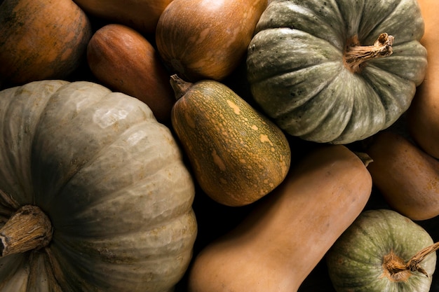 Bovenaanzicht van verschillende herfst squash