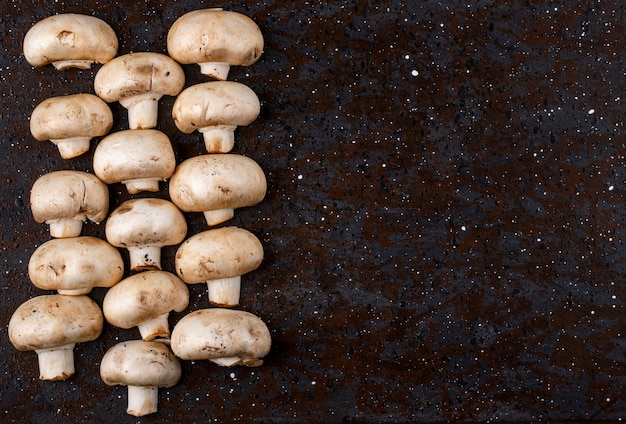 Bovenaanzicht van verse champignons champignon geïsoleerd op donkere achtergrond met kopie ruimte