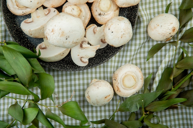 Gratis foto bovenaanzicht van verse witte champignons op een koekenpan en kegels met groene bladeren op geruite stof