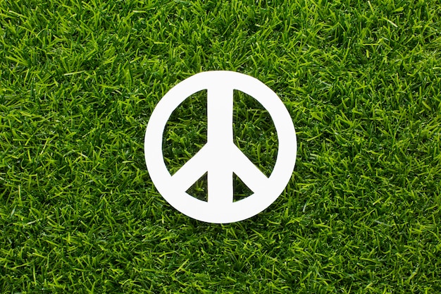 Bovenaanzicht van vredesteken op gras