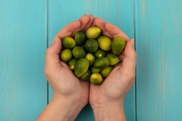 Bovenaanzicht van vrouwelijke handen met verse kinkans op een blauwe houten oppervlak