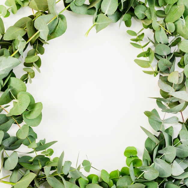 Bovenaanzicht van wit frame gemaakt met groene bladeren