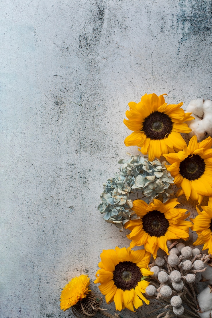 Gratis Foto bovenaanzicht van zonnebloemen frame met katoen