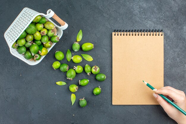 Bovenaanzicht verse feijoas verspreid van plastic mand notebook potlood in vrouwelijke hand op donkere ondergrond