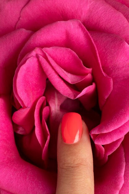 Bovenaanzicht vrouw wat betreft roze bloem