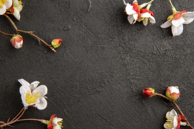 Bovenaanzicht witte bloemen op donkere achtergrond plant schoonheid elegantie kleurenfoto