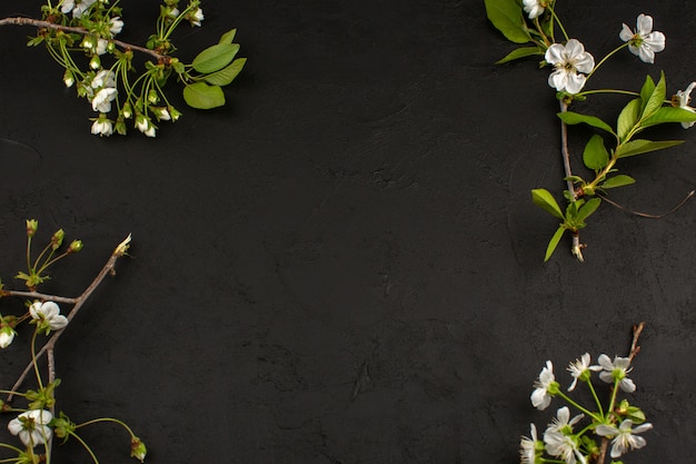 Gratis foto bovenaanzicht witte bloemen op het donkere bureau