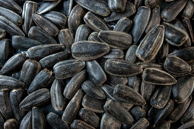 Bovenaanzicht zwarte zonnebloempitten op donkere achtergrond maïs snack olie cips zaad foto kleur