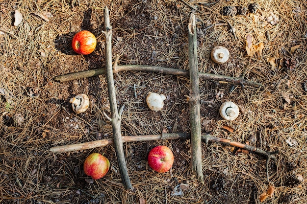 Bovenaanzichtspel met groenten en fruit