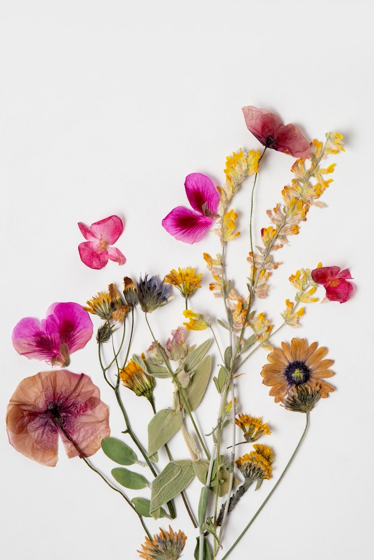 Gratis Foto bovenbeeld bloemenpers met witte achtergrond