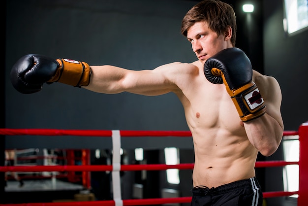 Gratis foto boxerjongen het stellen bij de gymnastiek